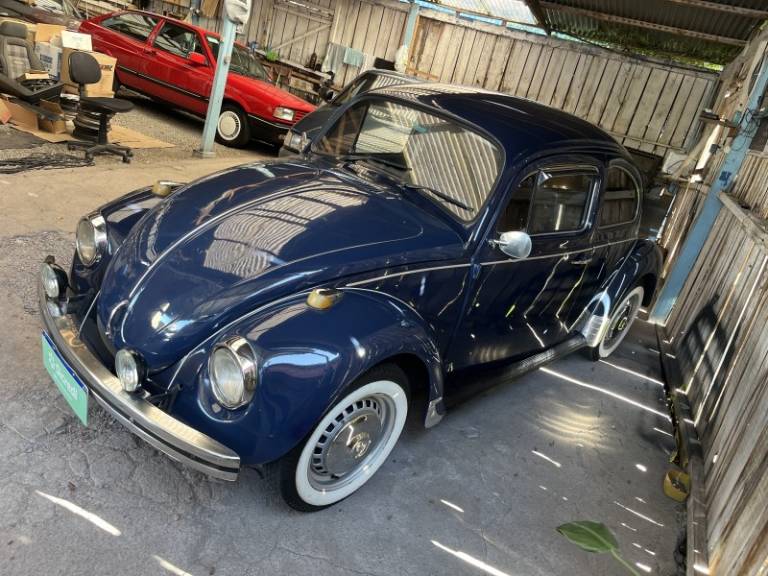 VOLKSWAGEN - FUSCA - 1979/1980 - Azul - R$ 19.900,00